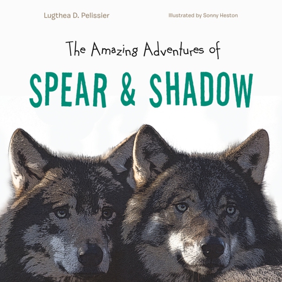 Amazing Adventures of Spear & Shadow