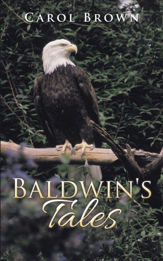 Baldwin's Tales (e-bog) af Brown, Carol