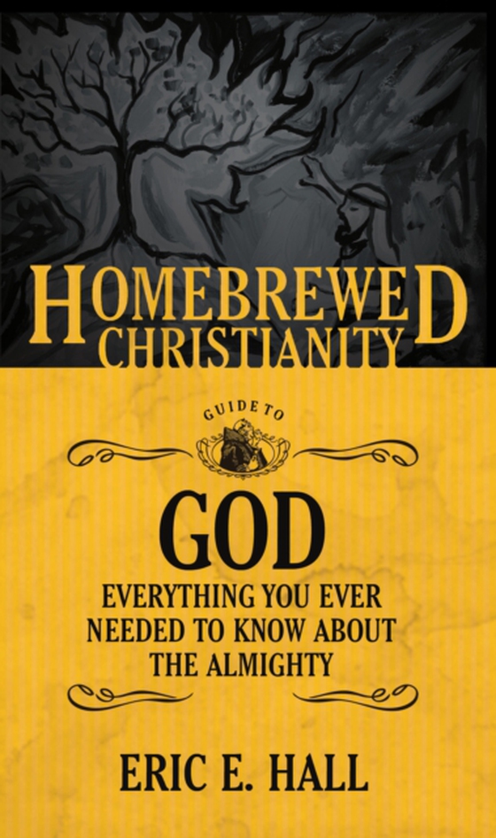 Homebrewed Christianity Guide to God (e-bog) af -