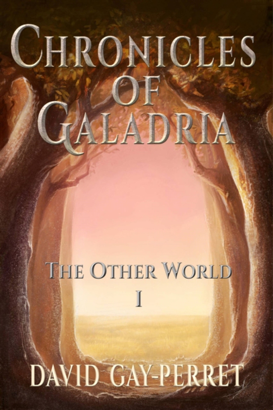 Chronicles of Galadria I - The Other World (e-bog) af Gay-Perret, David