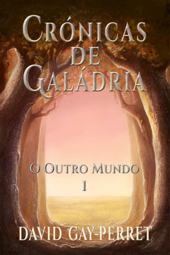 Crônicas de Galádria I – O Outro Mundo (e-bog) af Gay-Perret, David