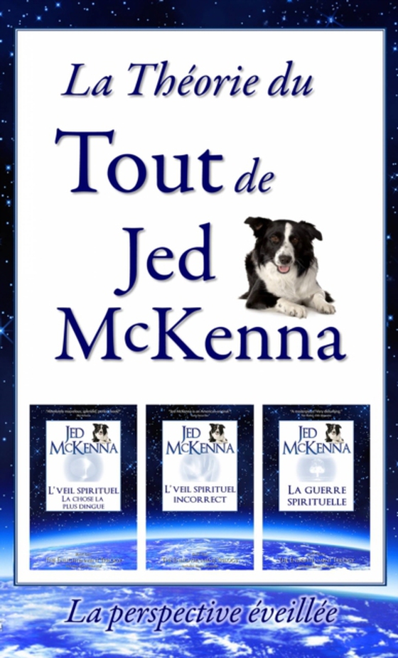 La théorie du tout de Jed McKenna - La perspective éveillée (e-bog) af McKenna, Jed