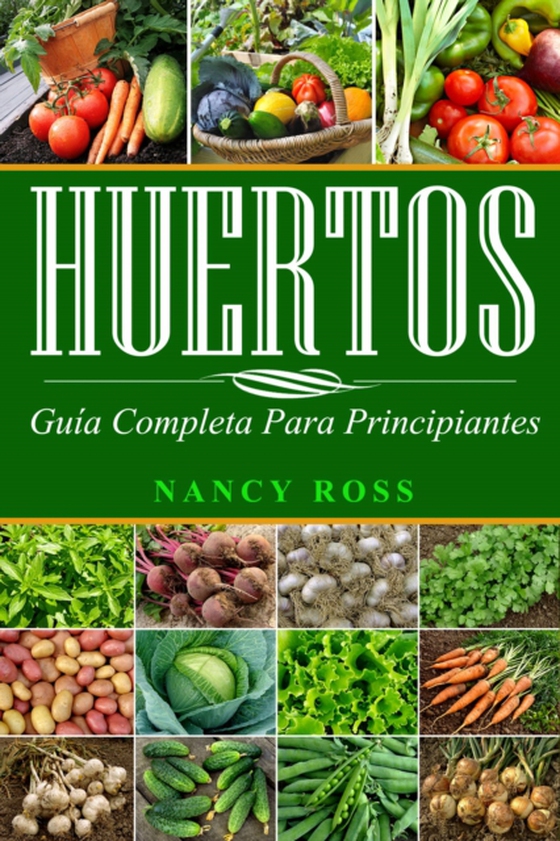 Huertos: Guía completa para principiantes