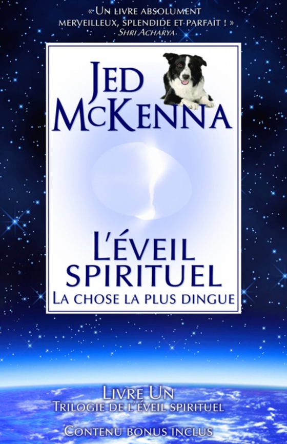 L'éveil spirituel : La chose la plus dingue (e-bog) af McKenna, Jed