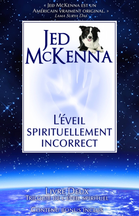 L'éveil spirituellement incorrect (e-bog) af McKenna, Jed