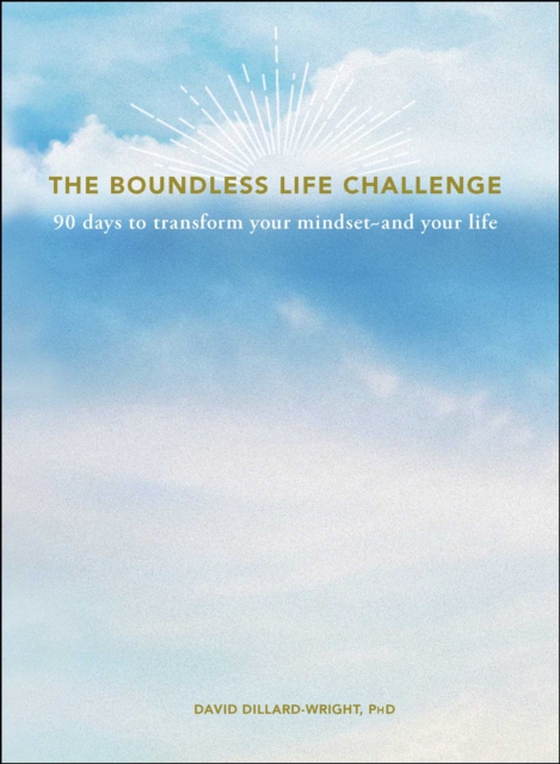 Boundless Life Challenge (e-bog) af Dillard-Wright, David