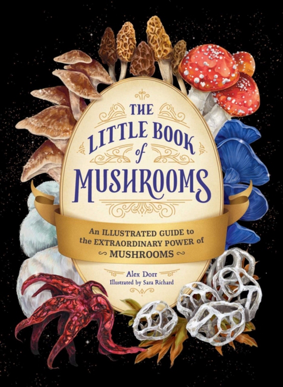 Little Book of Mushrooms (e-bog) af Dorr, Alex