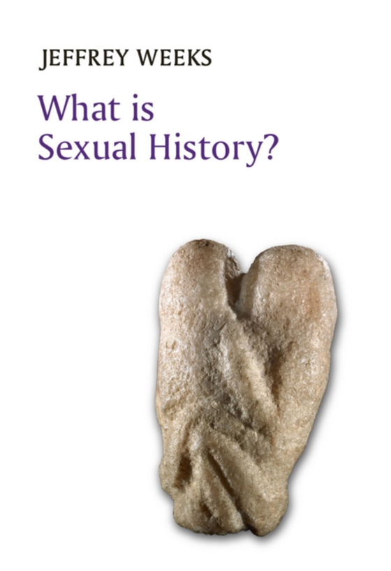 What is Sexual History? (e-bog) af Weeks, Jeffrey