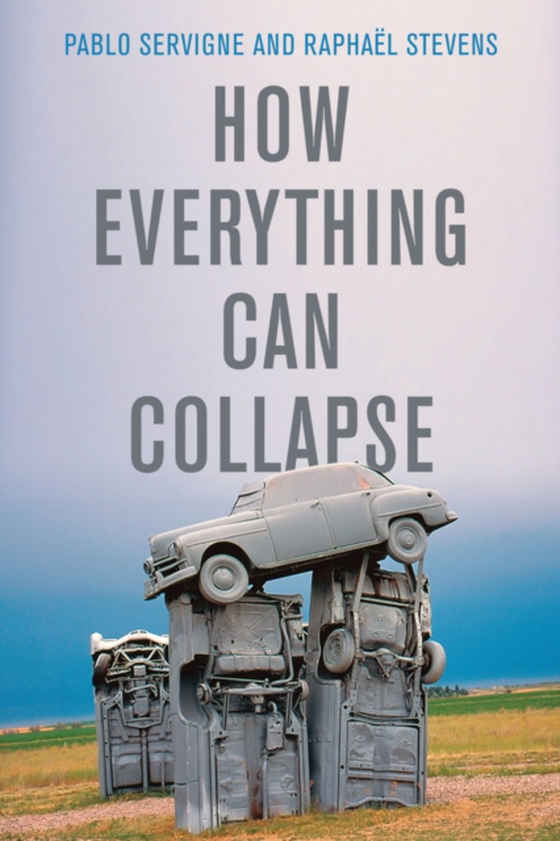 How Everything Can Collapse (e-bog) af Stevens, Rapha l