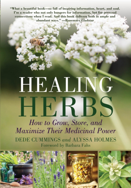 Healing Herbs (e-bog) af Holmes, Alyssa