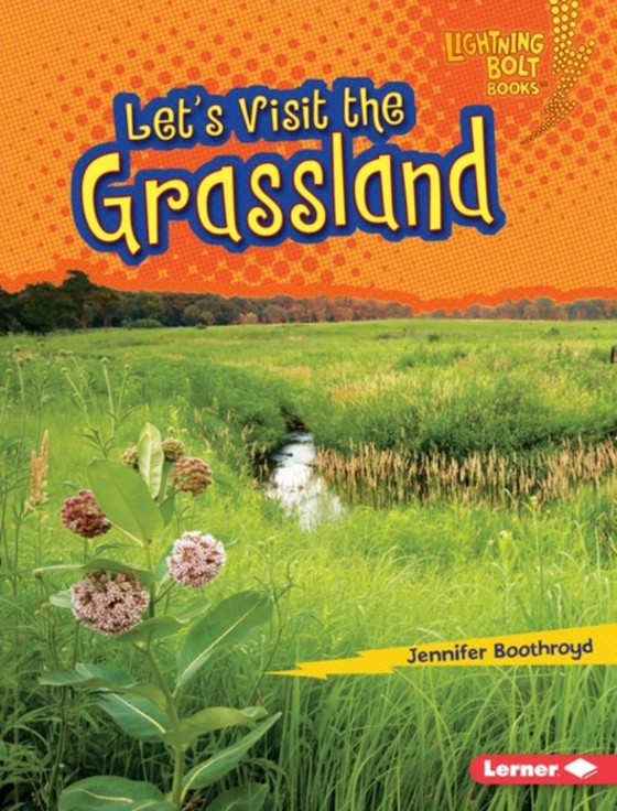Let's Visit the Grassland (e-bog) af Boothroyd, Jennifer