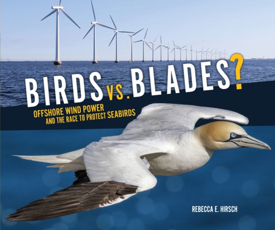 Birds vs. Blades?