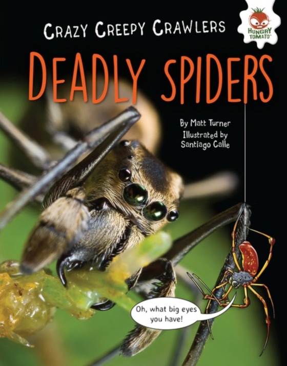 Deadly Spiders (e-bog) af Turner, Matt