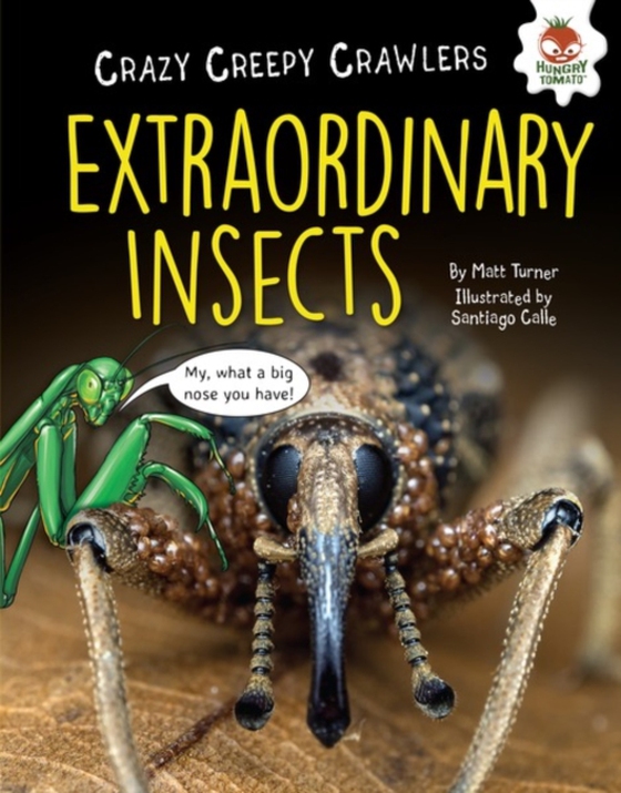 Extraordinary Insects