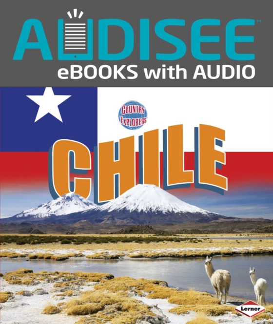 Chile (e-bog) af Miller, Jennifer A.