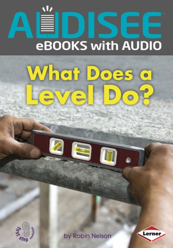 What Does a Level Do?