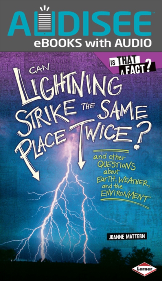 Can Lightning Strike the Same Place Twice? (e-bog) af Mattern, Joanne