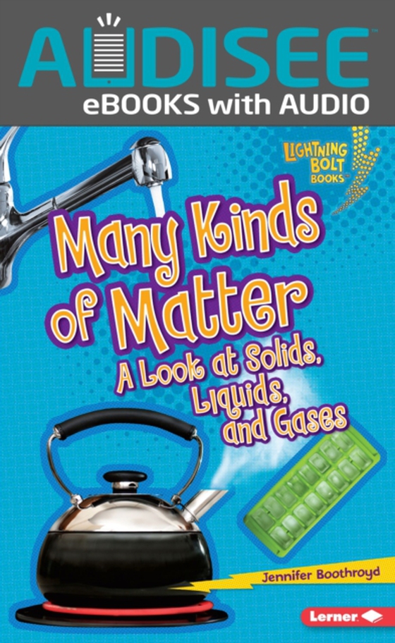 Many Kinds of Matter (e-bog) af Boothroyd, Jennifer