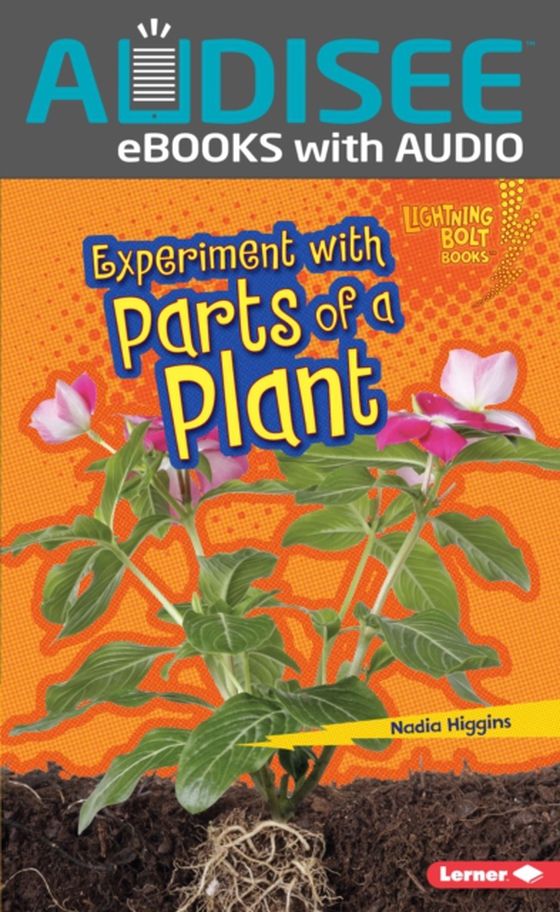 Experiment with Parts of a Plant