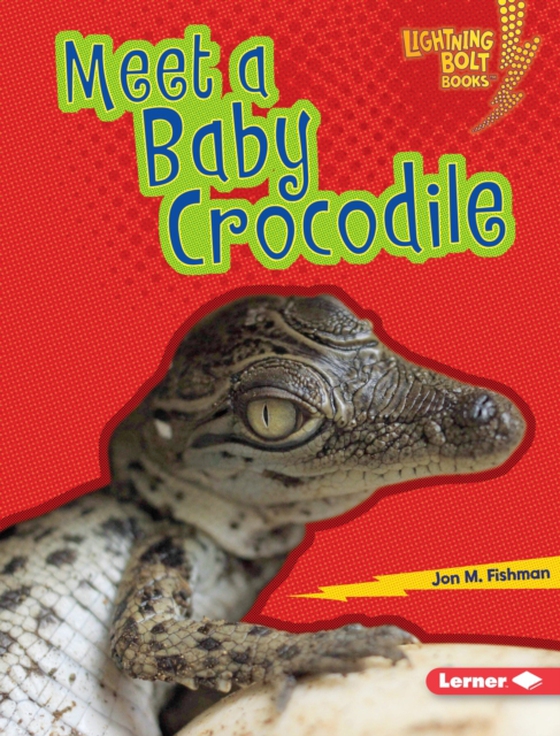 Meet a Baby Crocodile (e-bog) af Fishman, Jon M.