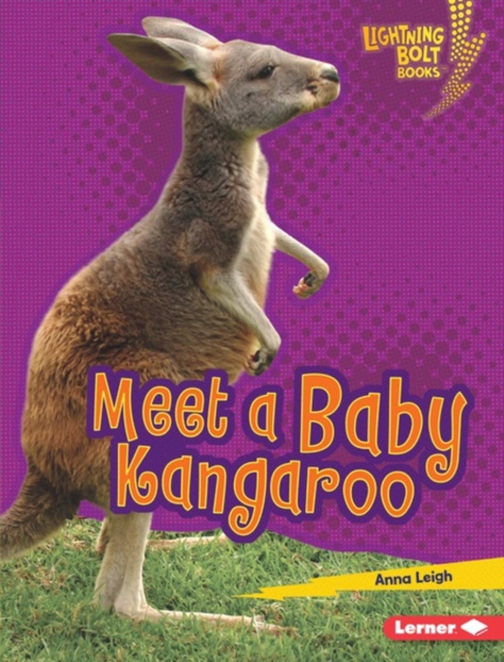 Meet a Baby Kangaroo (e-bog) af Leigh, Anna