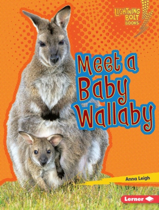 Meet a Baby Wallaby (e-bog) af Leigh, Anna