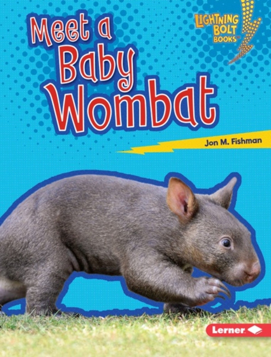 Meet a Baby Wombat