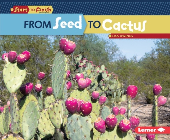 From Seed to Cactus (e-bog) af Owings, Lisa
