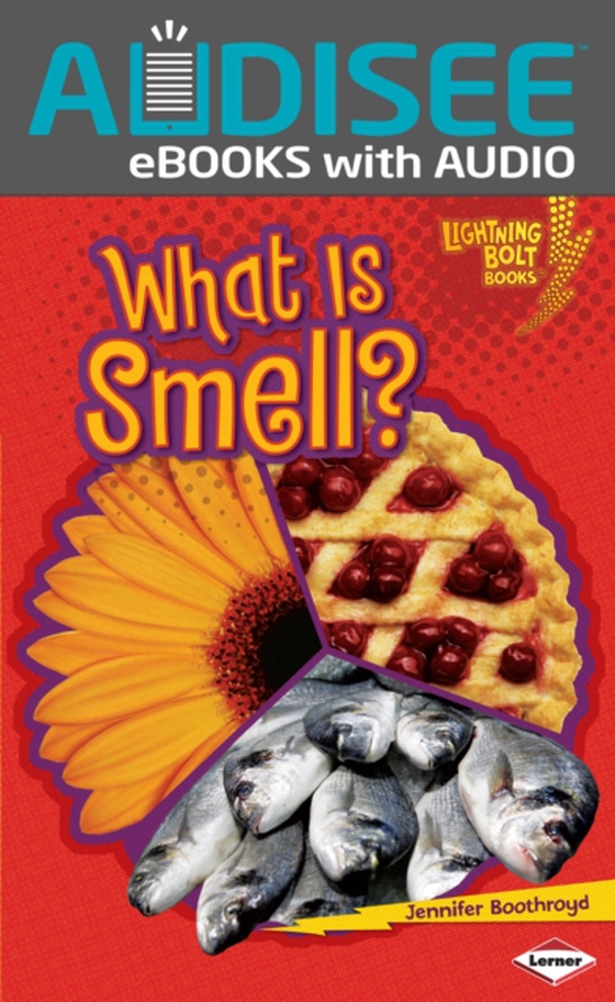 What Is Smell?