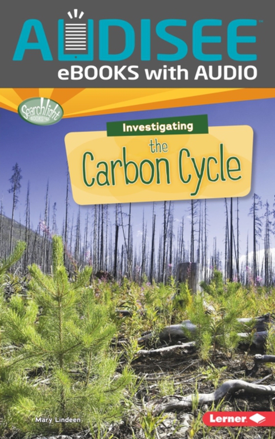 Investigating the Carbon Cycle (e-bog) af Lindeen, Mary