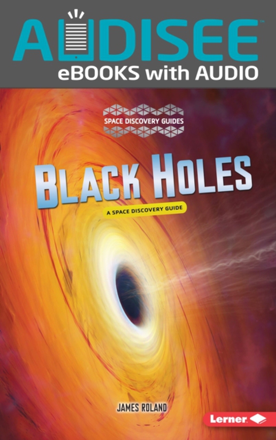 Black Holes