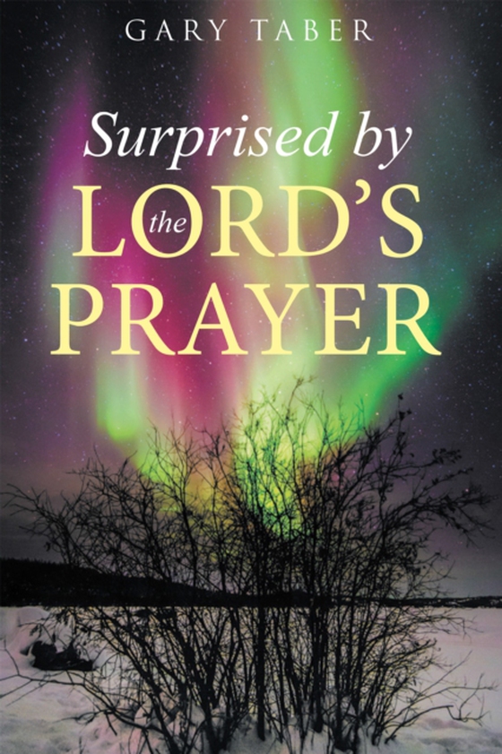 Surprised by the Lord's Prayer (e-bog) af Taber, Gary