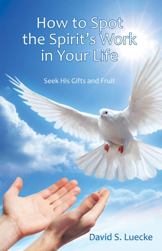 How to Spot the Spirit's Work in Your Life (e-bog) af Luecke, David S.