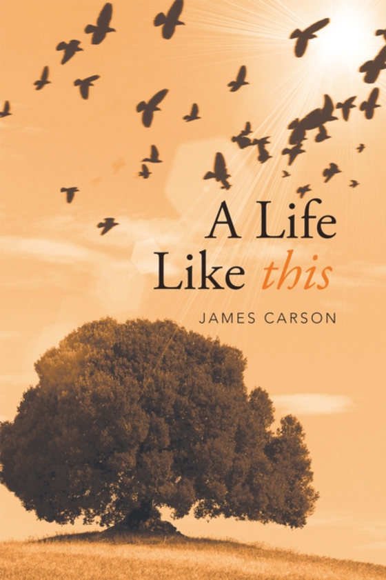 Life Like This (e-bog) af Carson, James