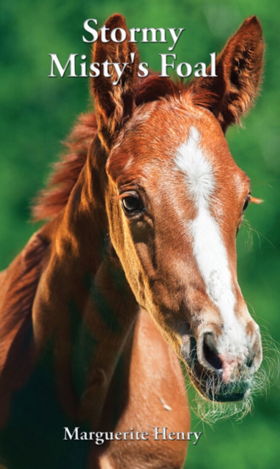 Stormy, Misty's Foal (e-bog) af Henry, Marguerite