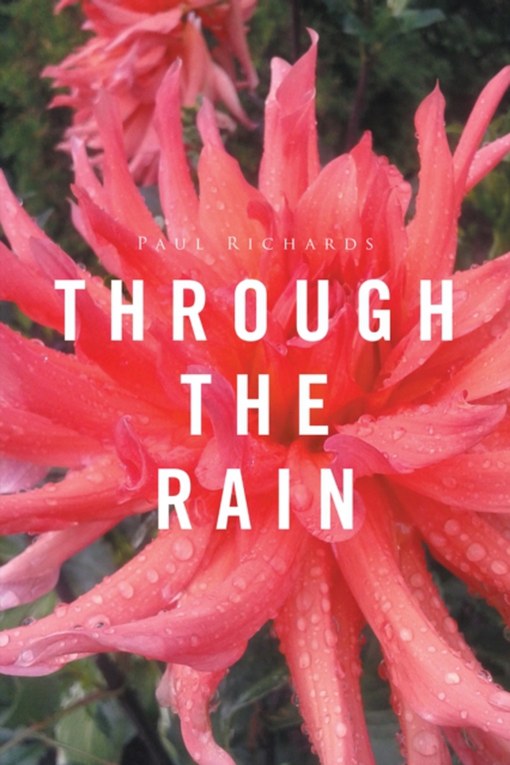 Through the Rain (e-bog) af Richards, Paul