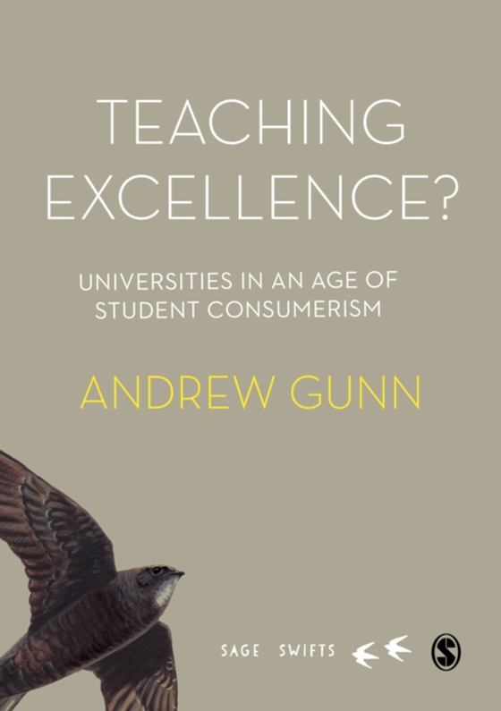 Teaching Excellence? (e-bog) af Gunn, Andrew