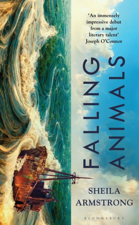 Falling Animals (e-bog) af Sheila Armstrong, Armstrong