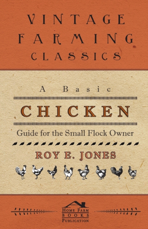 Basic Chicken Guide For The Small Flock Owner