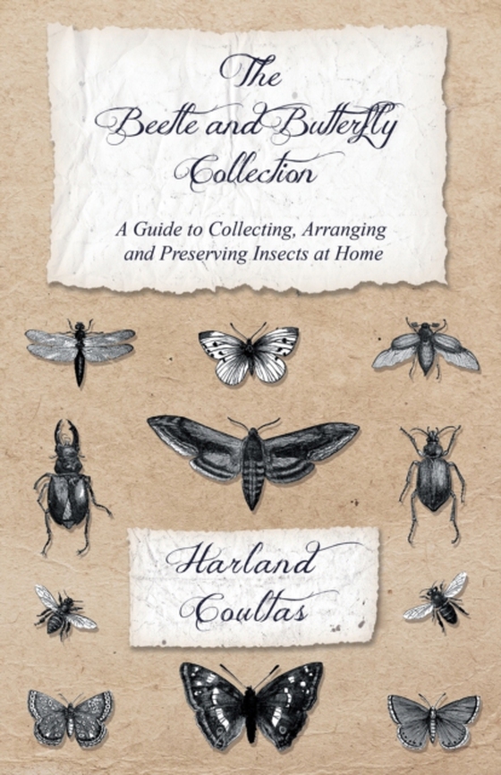 Beetle and Butterfly Collection - A Guide to Collecting, Arranging and Preserving Insects at Home