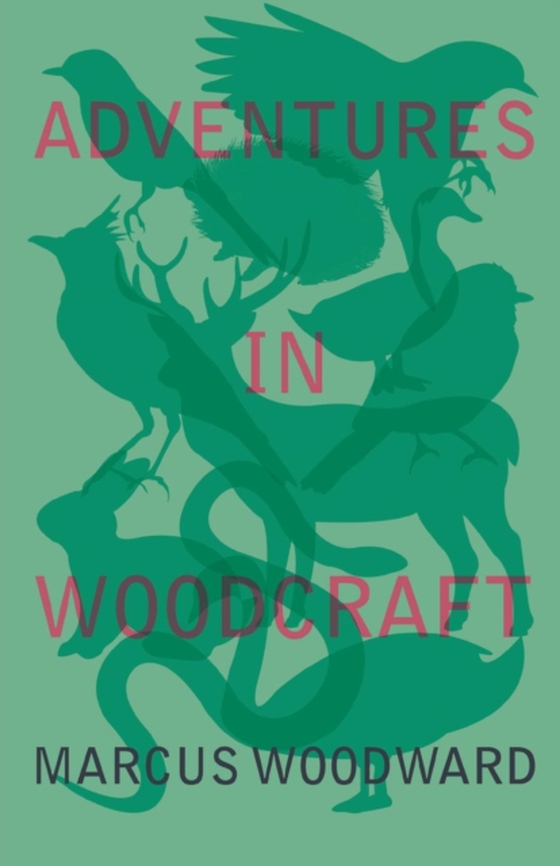 Adventures in Woodcraft (e-bog) af Woodward, Marcus