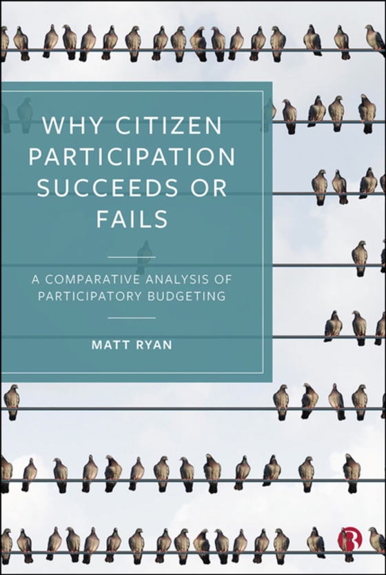 Why Citizen Participation Succeeds or Fails (e-bog) af Ryan, Matt