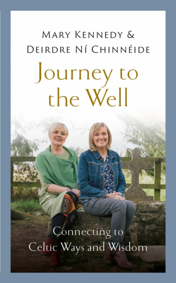 Journey to the Well (e-bog) af ide, Deirdre N Chinn