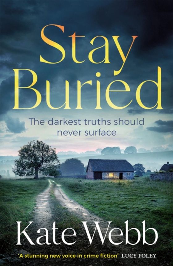 Stay Buried (e-bog) af Webb, Kate