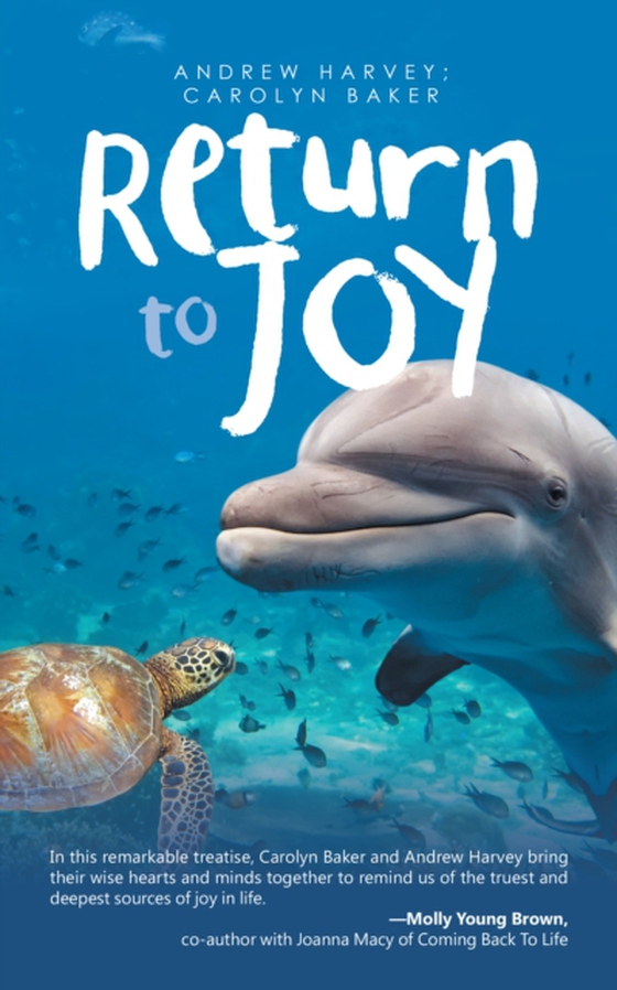 Return to Joy