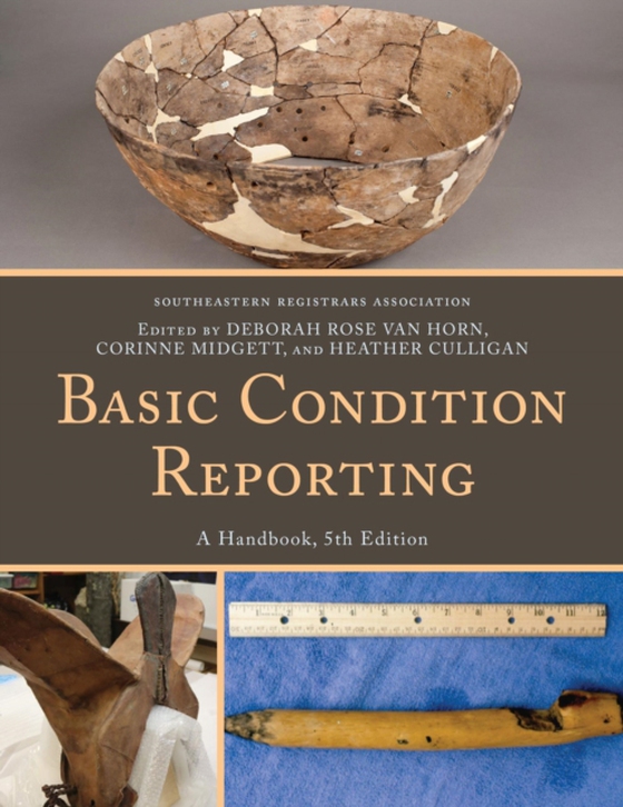 Basic Condition Reporting (e-bog) af Culligan, Heather