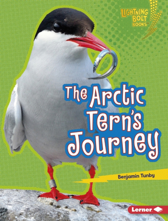 Arctic Tern's Journey (e-bog) af Tunby, Benjamin