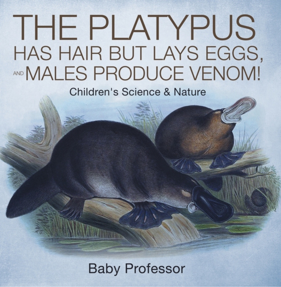 Platypus Has Hair but Lays Eggs, and Males Produce Venom! | Children's Science & Nature