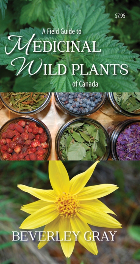 Field Guide to Medicinal Wild Plants of Canada (e-bog) af Gray, Beverley