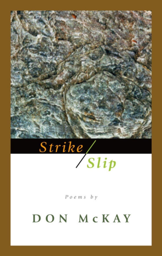Strike/Slip (e-bog) af McKay, Don